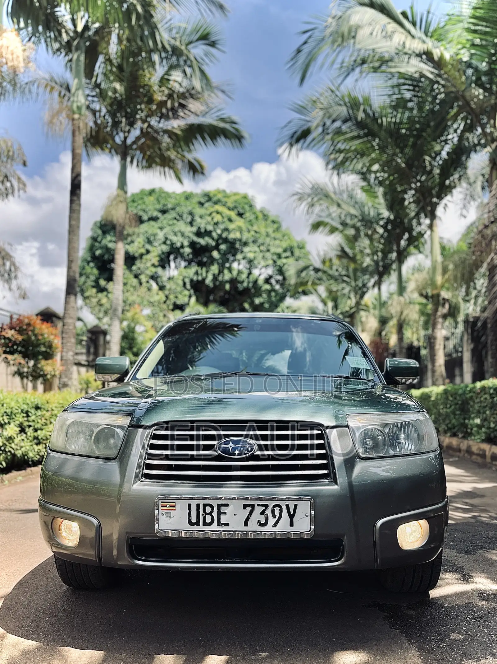 Subaru Forester 2005 Green
