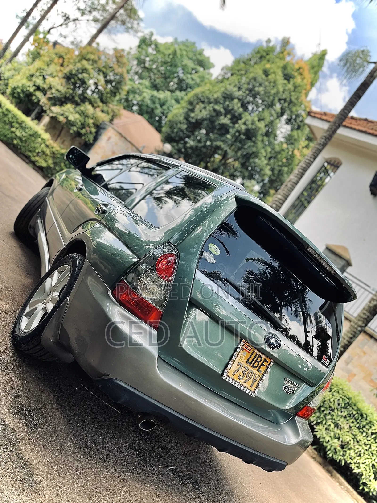 Subaru Forester 2005 Green