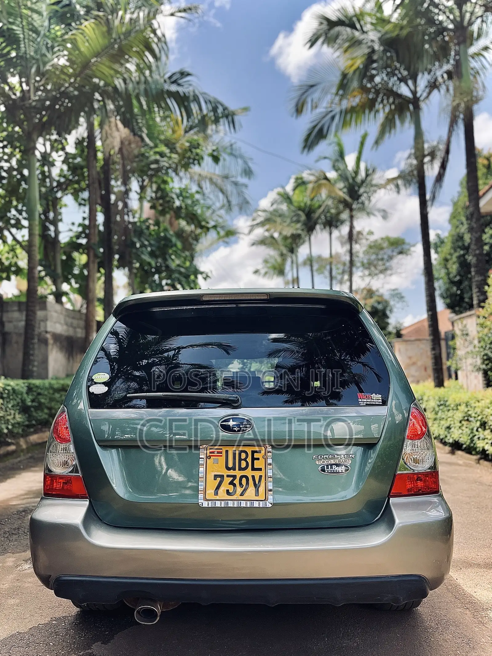 Subaru Forester 2005 Green