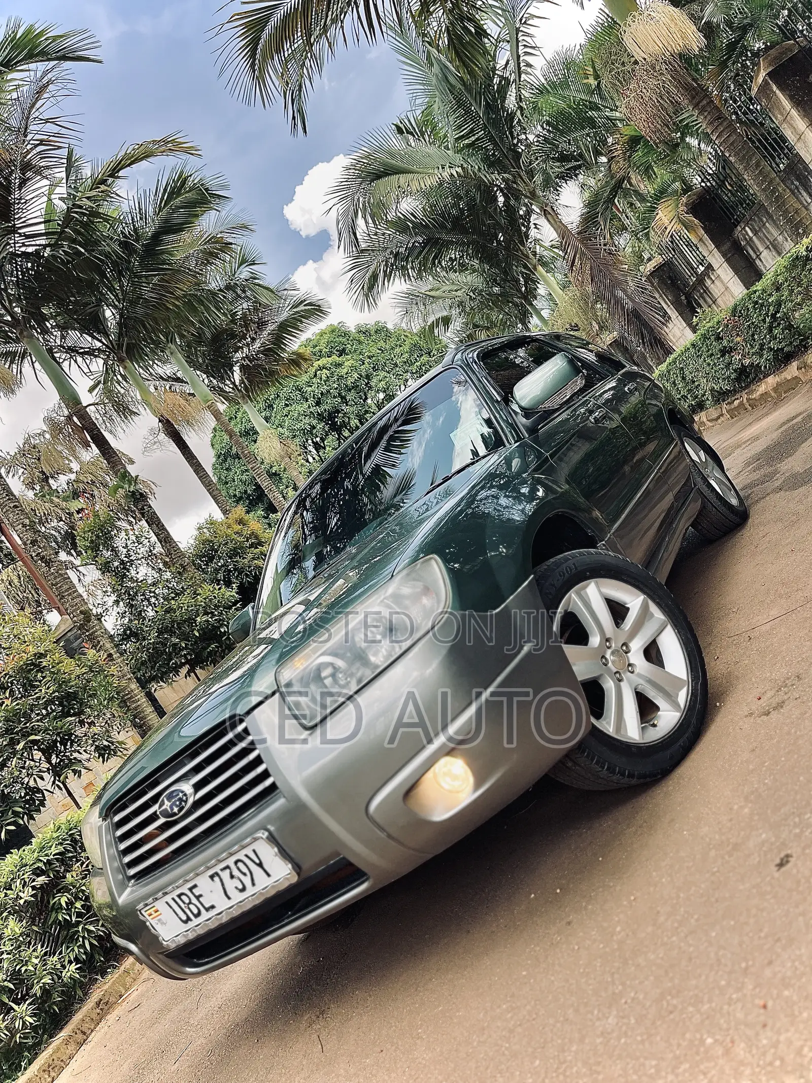 Subaru Forester 2005 Green