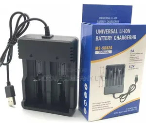 Ion Battery Charger