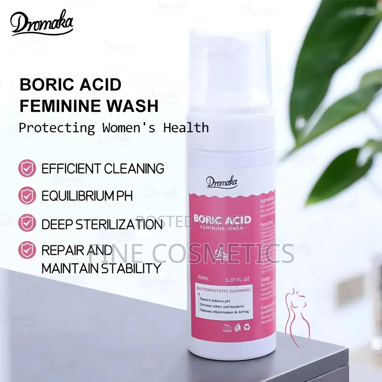 Boric Acid Feminine V.Wash Antibacterial Vagina Odor Control v Wash