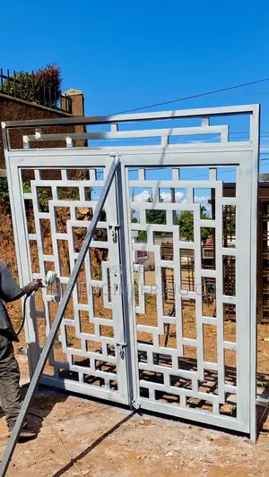 White Security Door