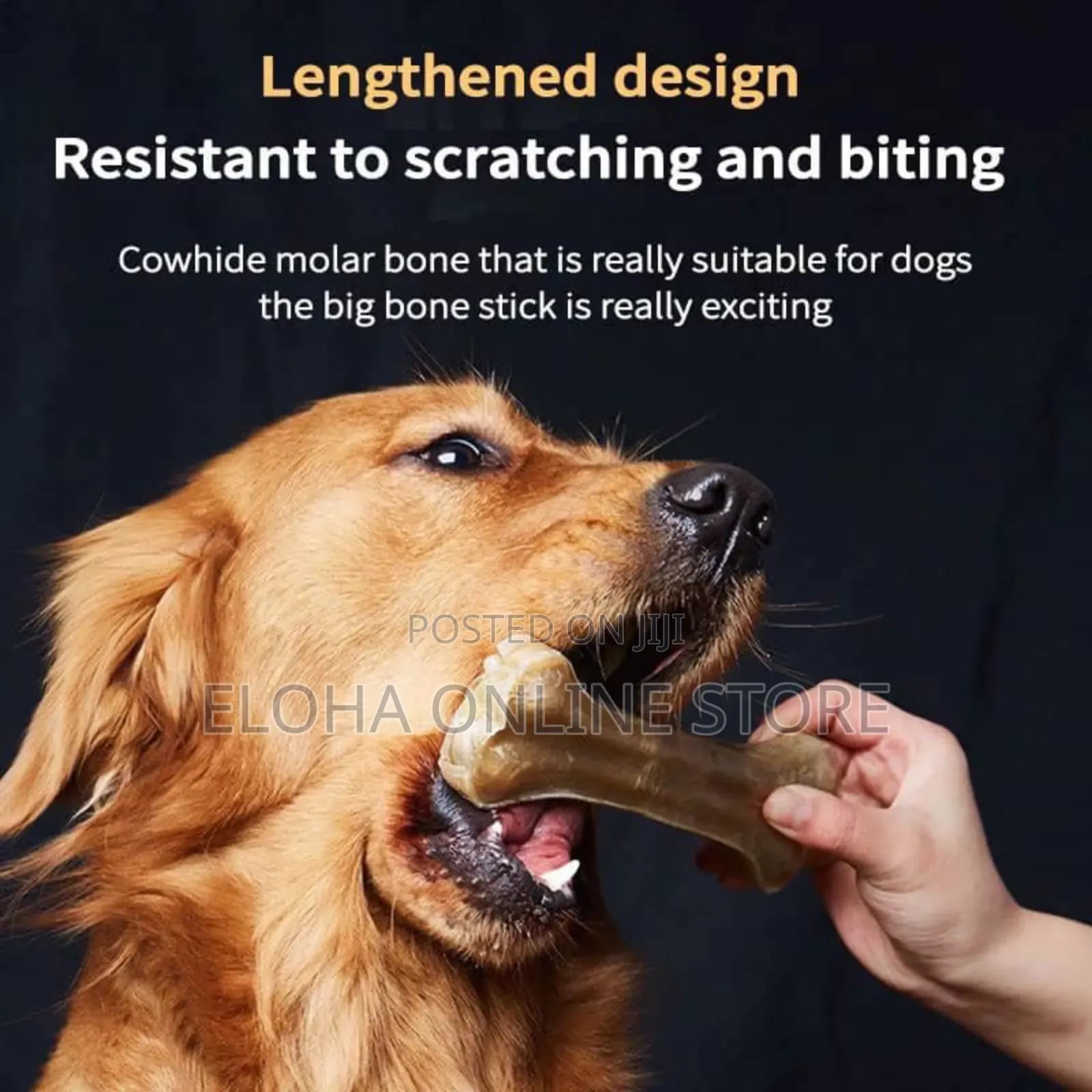 2pcs Bpa Free Dog Chew Bones Toys
