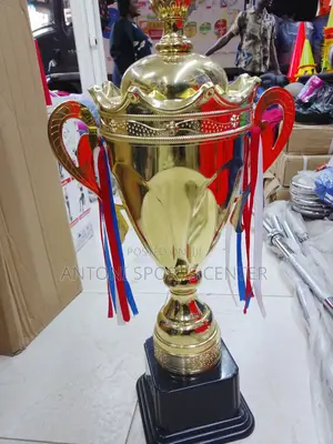 Gold Trophies Big Size