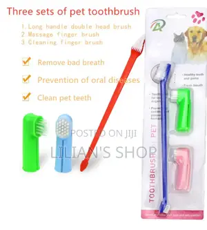 Cats and Dogs Toothbrush Set