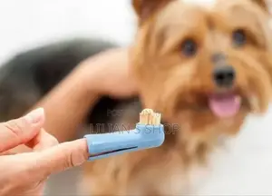 Cats and Dogs Toothbrush Set