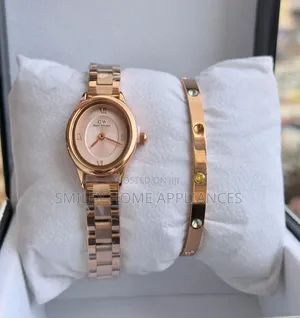 Rose Gold Dw Ladies' Gift Box Wrist Watch With a Bracelet