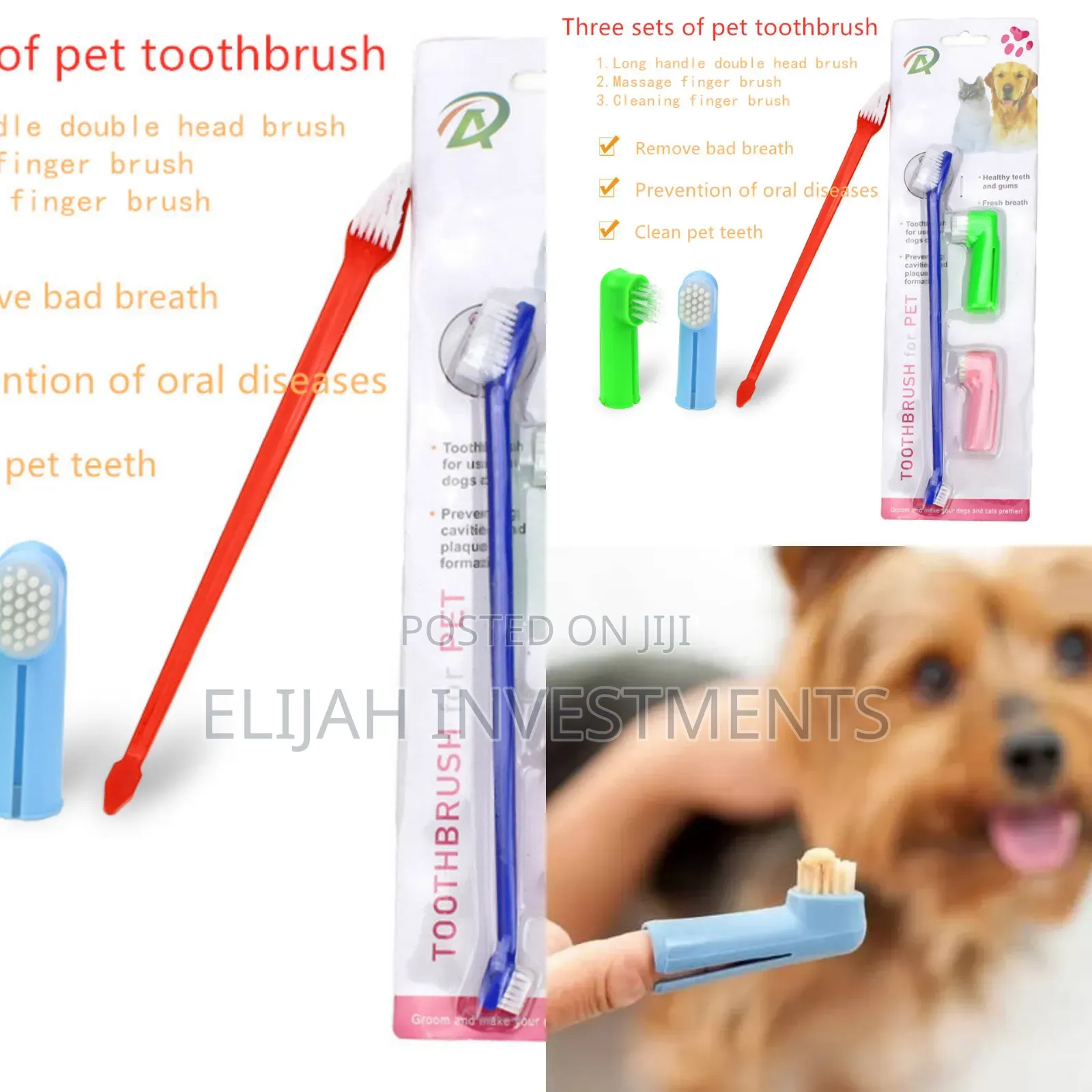 Cats and Dogs Toothbrush Set