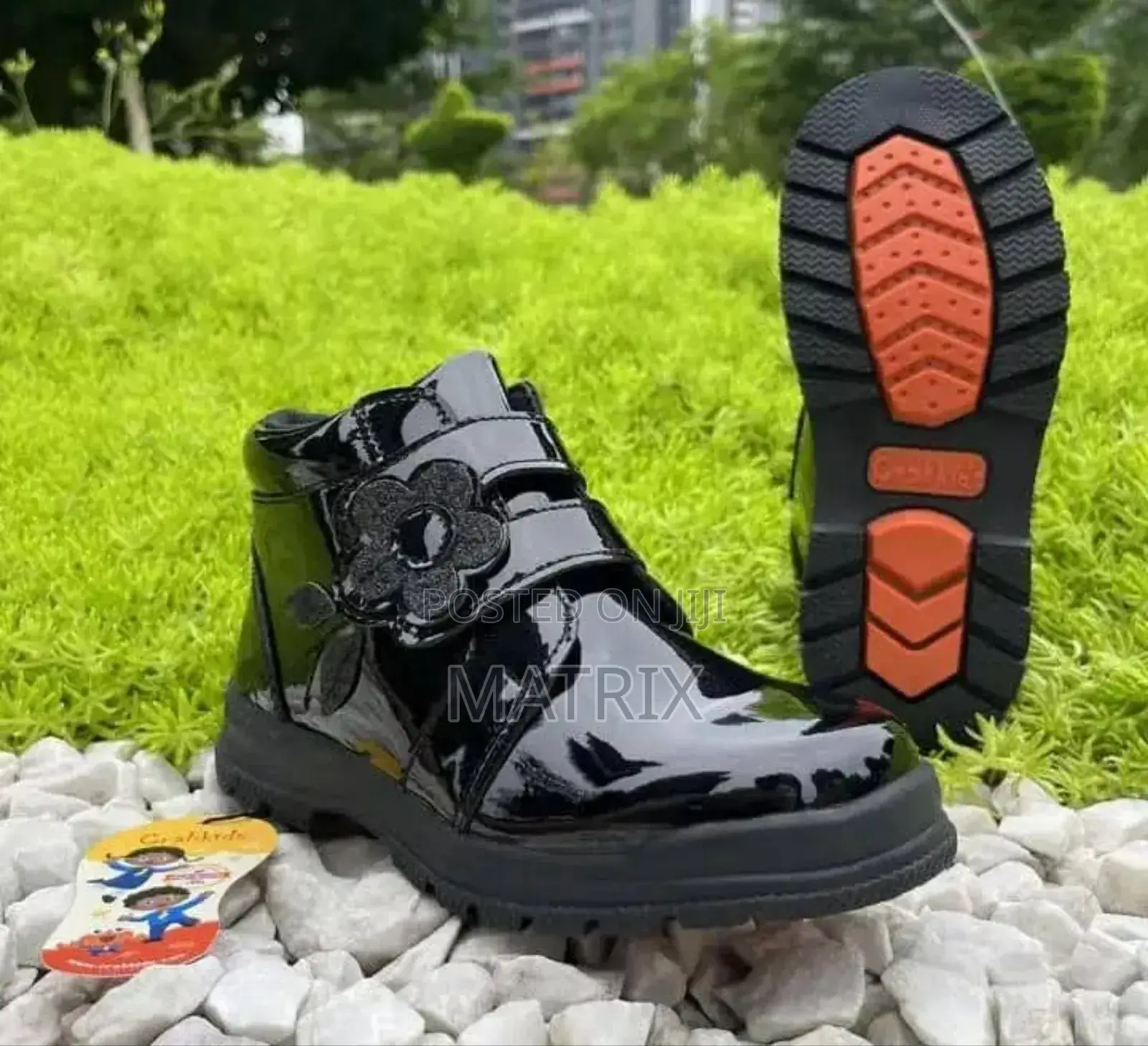 Crab Kids Shoes for School Girls