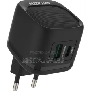 Green Lion Fast Chargers With Usb 20 Wat