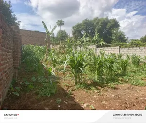 Plot for Sale in Gayaza