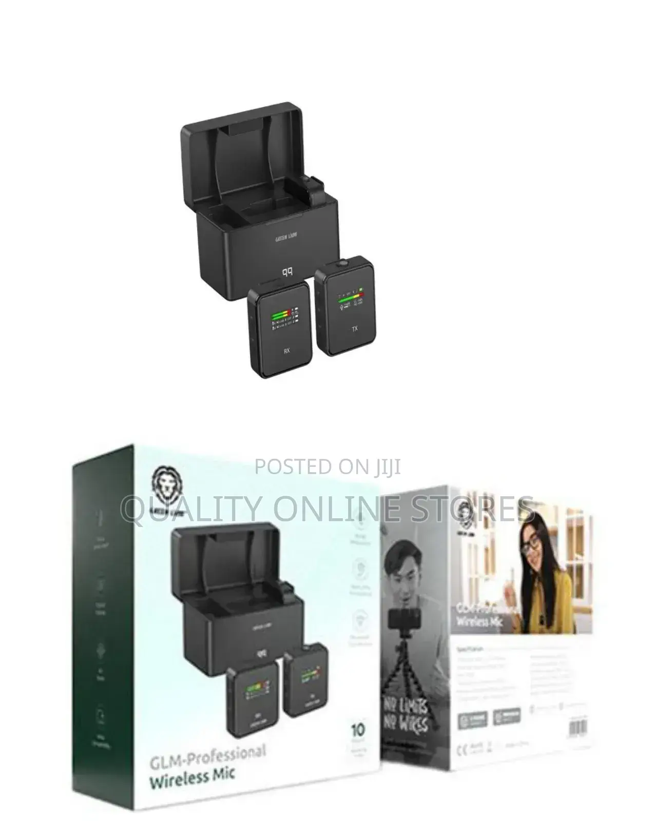 Portable Wireless Mic
