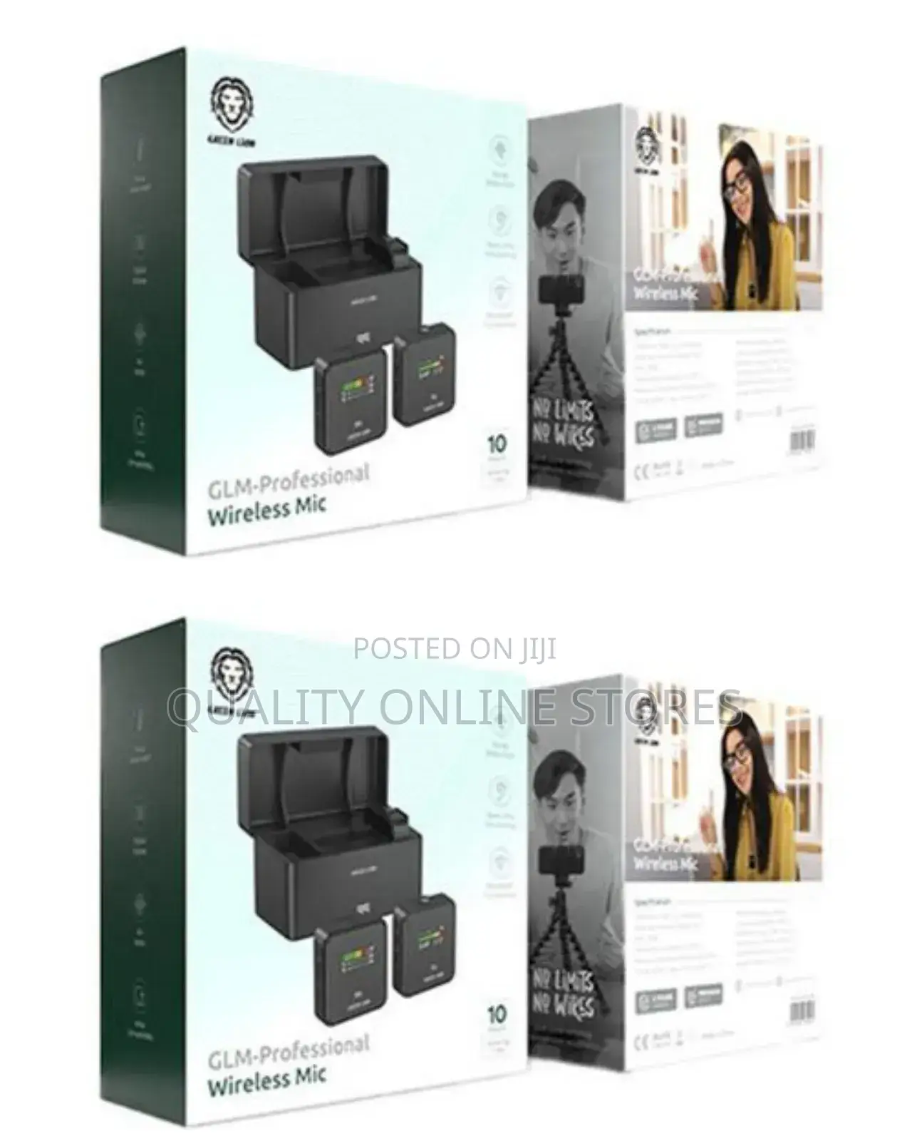 Portable Wireless Mic