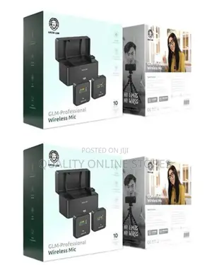 Portable Wireless Mic