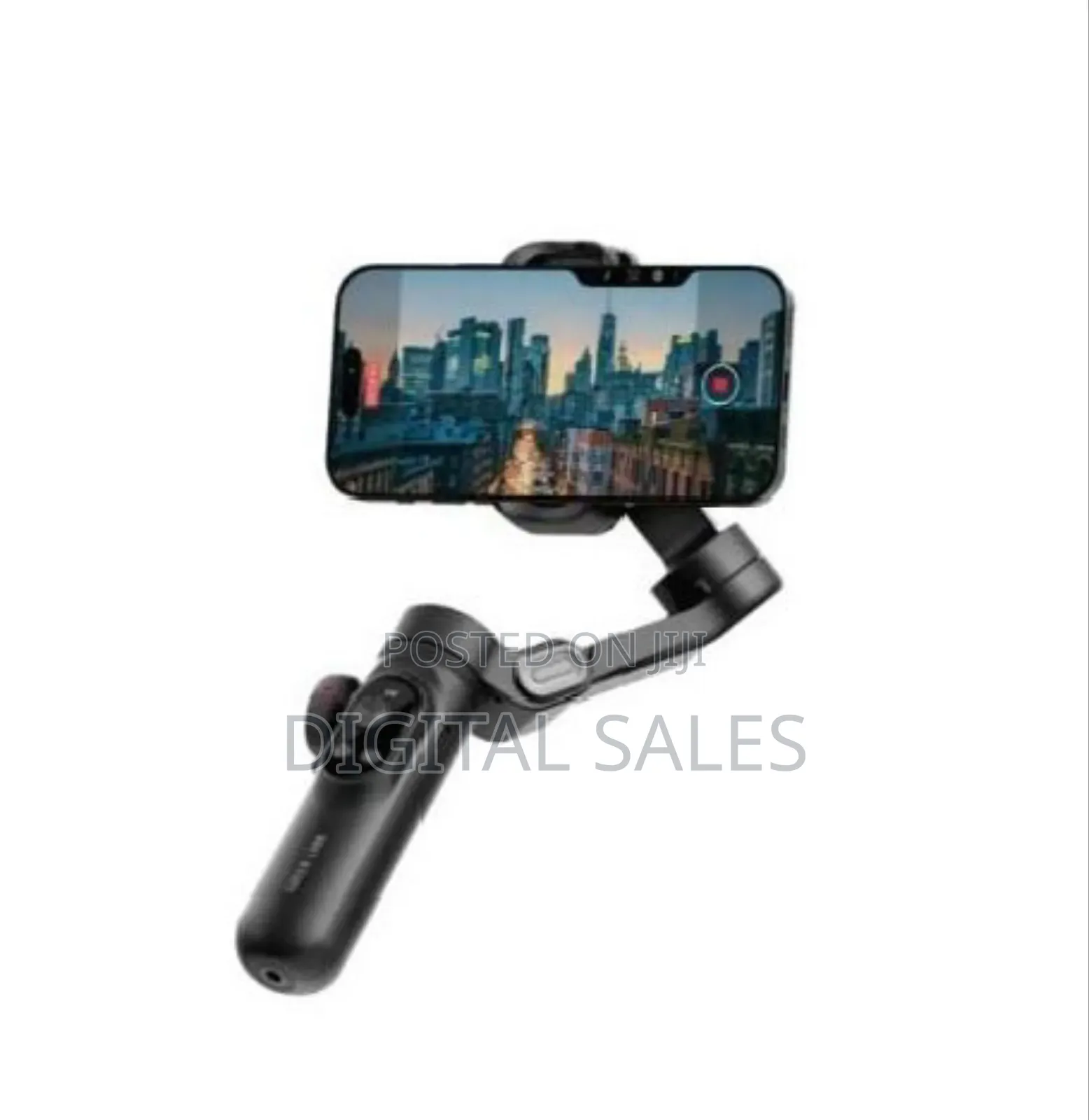 New York Gimbal-Green Lion