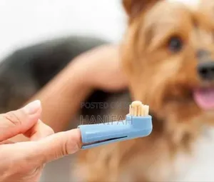 Cats and Dogs Toothbrush Set