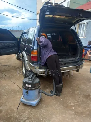 Car Exterior Cleaning