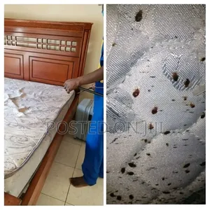 Fumigation Services
