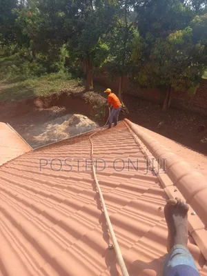 Roof Cleaning Services