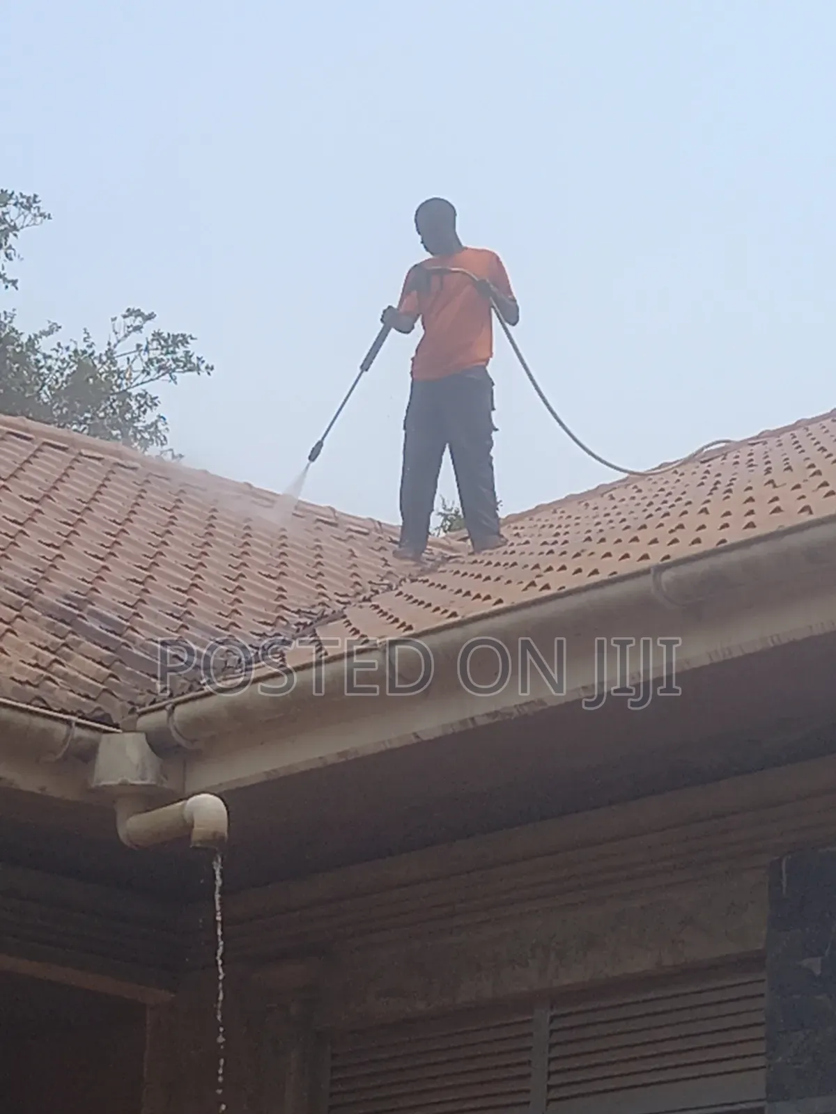 Roof Cleaning Services