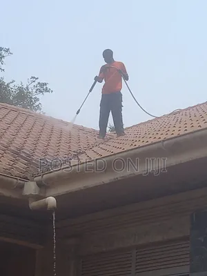 Roof Cleaning Services
