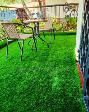 Home Outdoor Grass Squaremeter