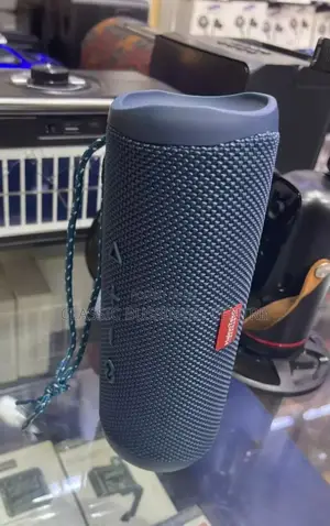 Portable Wireless Speaker