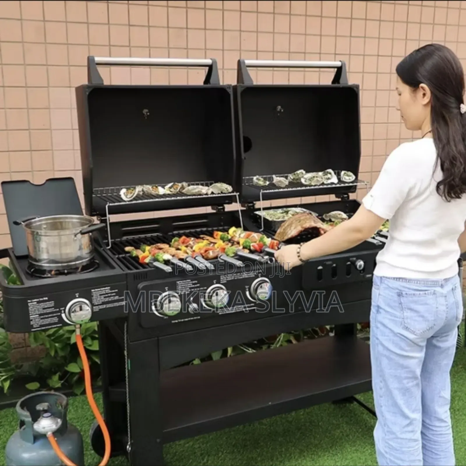 Executive BBQ Grill/Multifunctional Charcoal Gas Barbecue
