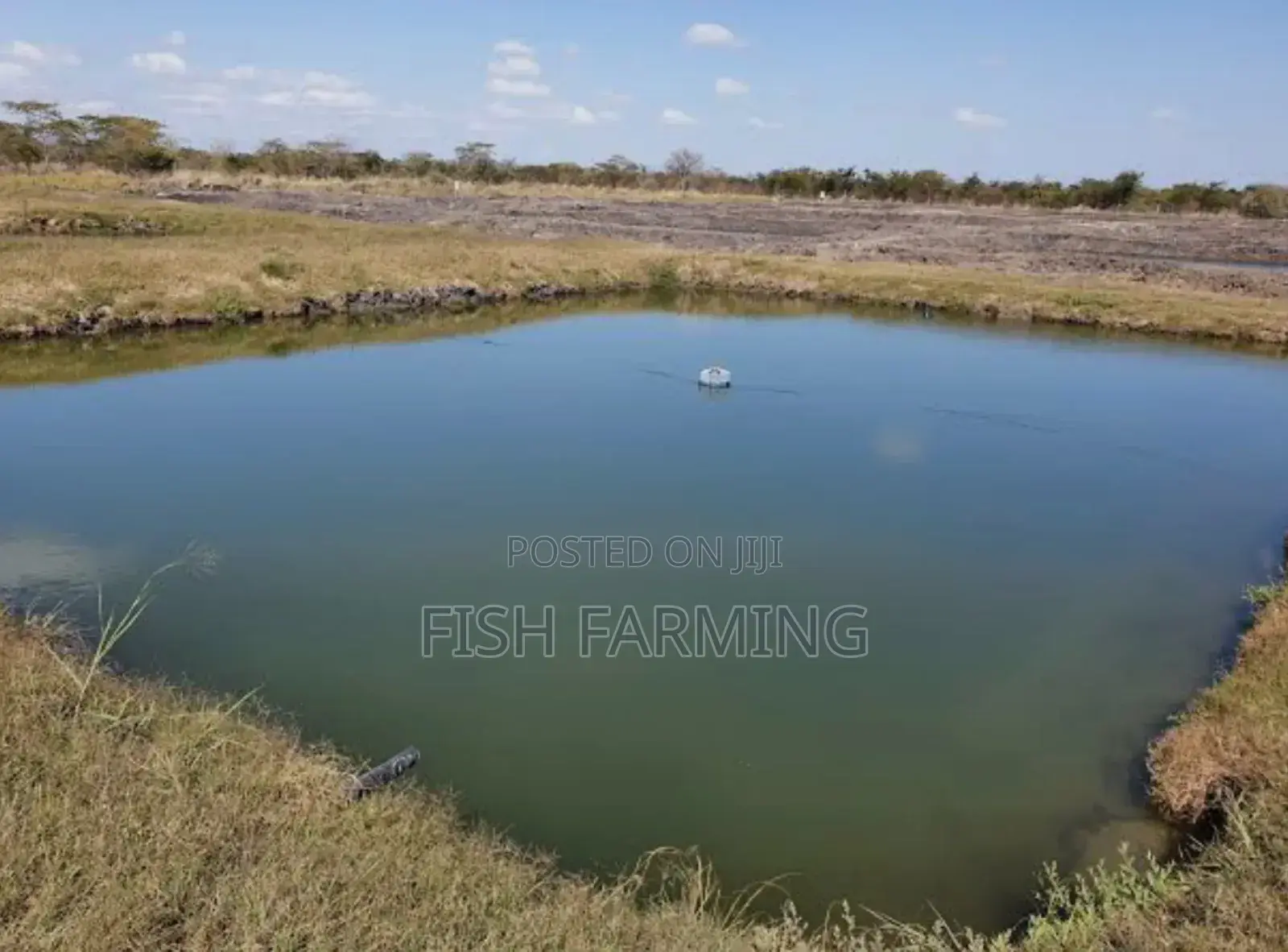 Ponds and Cage Service