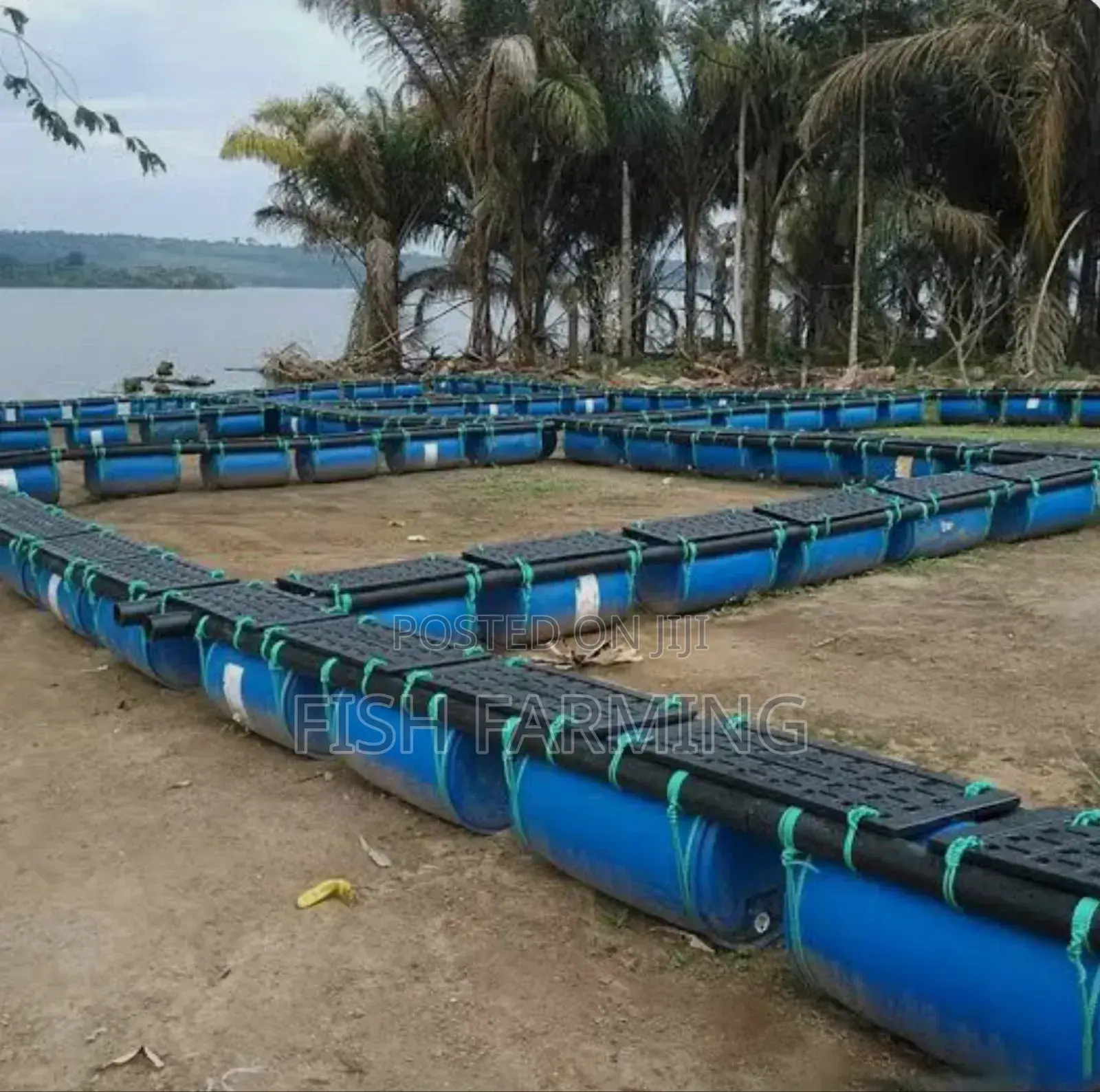 Only Fish Farming Services