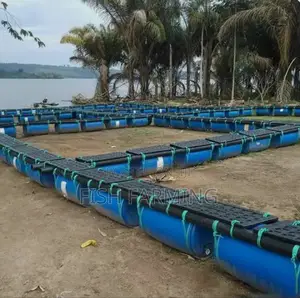 Only Fish Farming Services