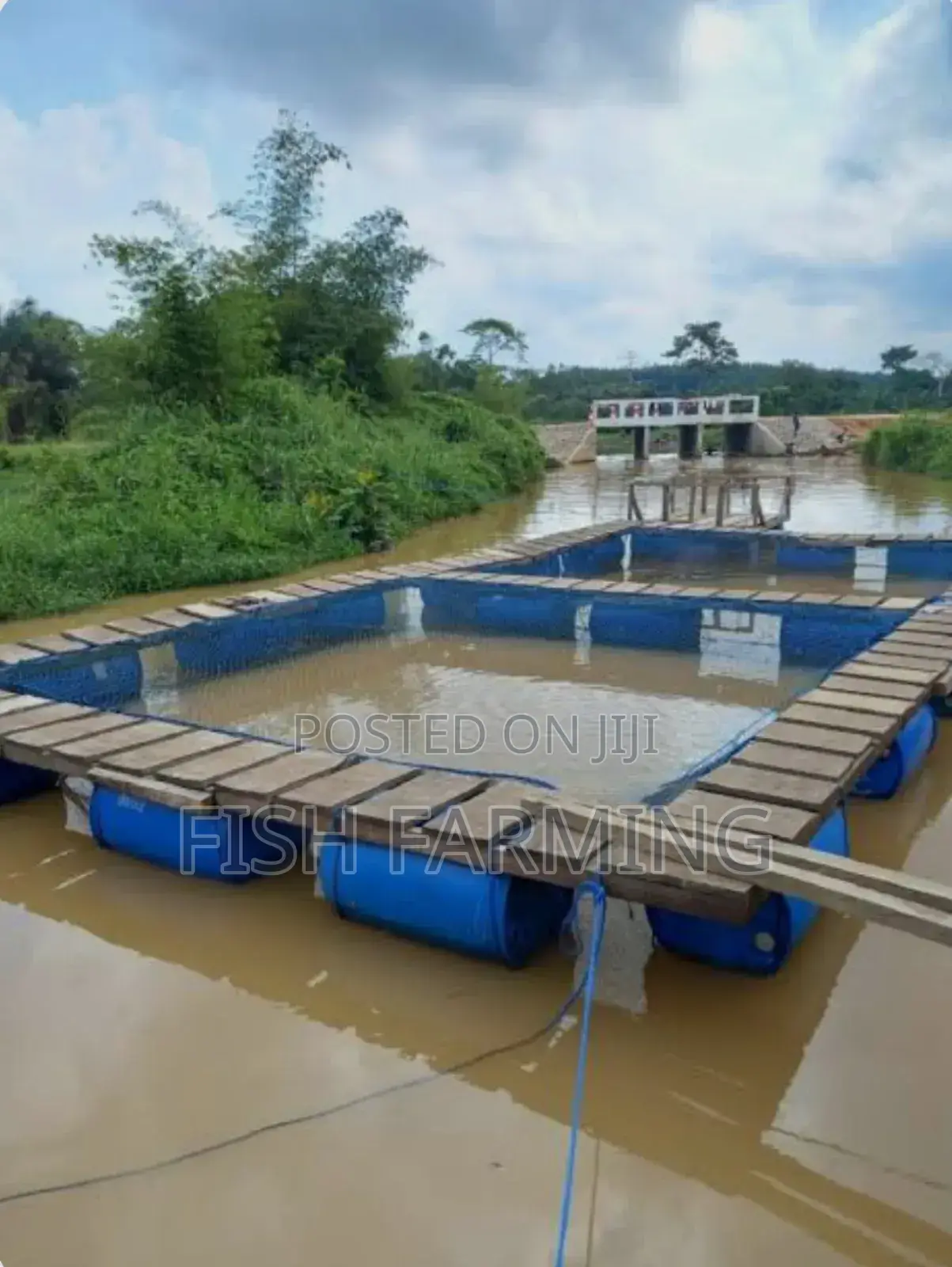 Lake Fish Farming