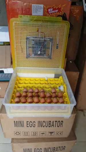 56eggs Automatic Incubator