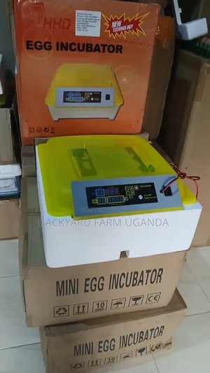 56eggs Automatic Incubator
