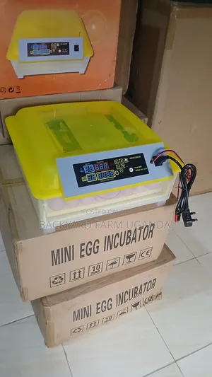 56eggs Automatic Incubator