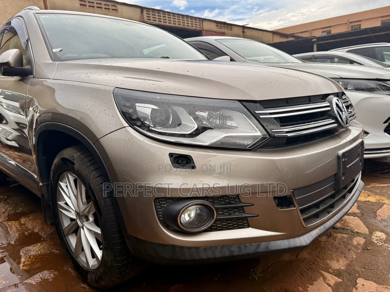 Volkswagen Tiguan 2014 Brown