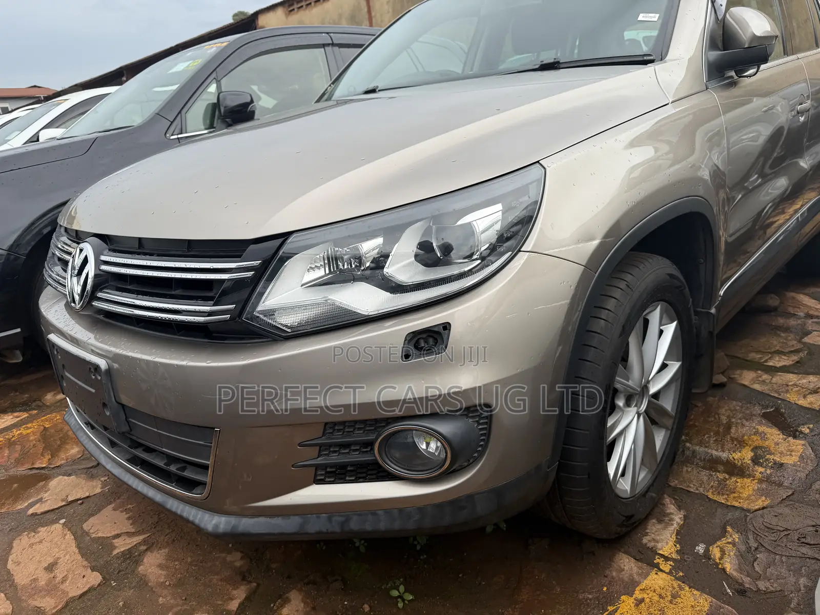 Volkswagen Tiguan 2014 Brown