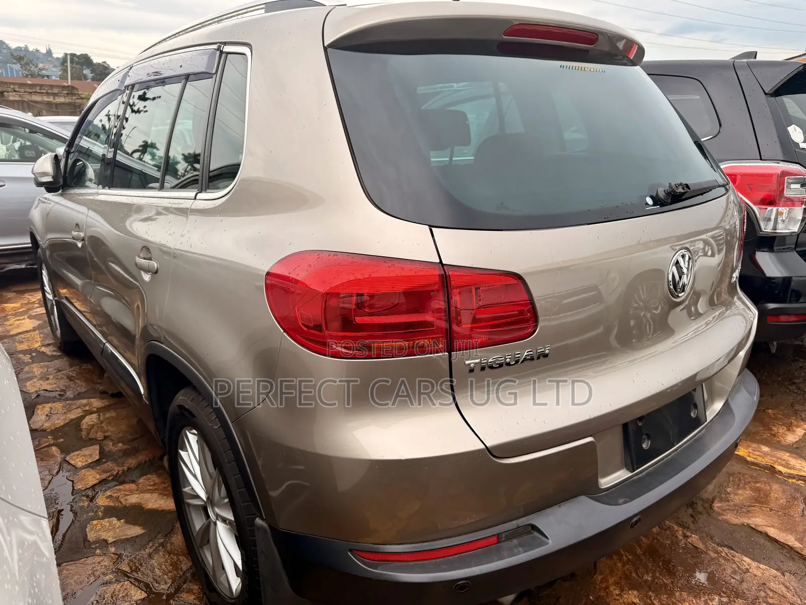 Volkswagen Tiguan 2014 Brown