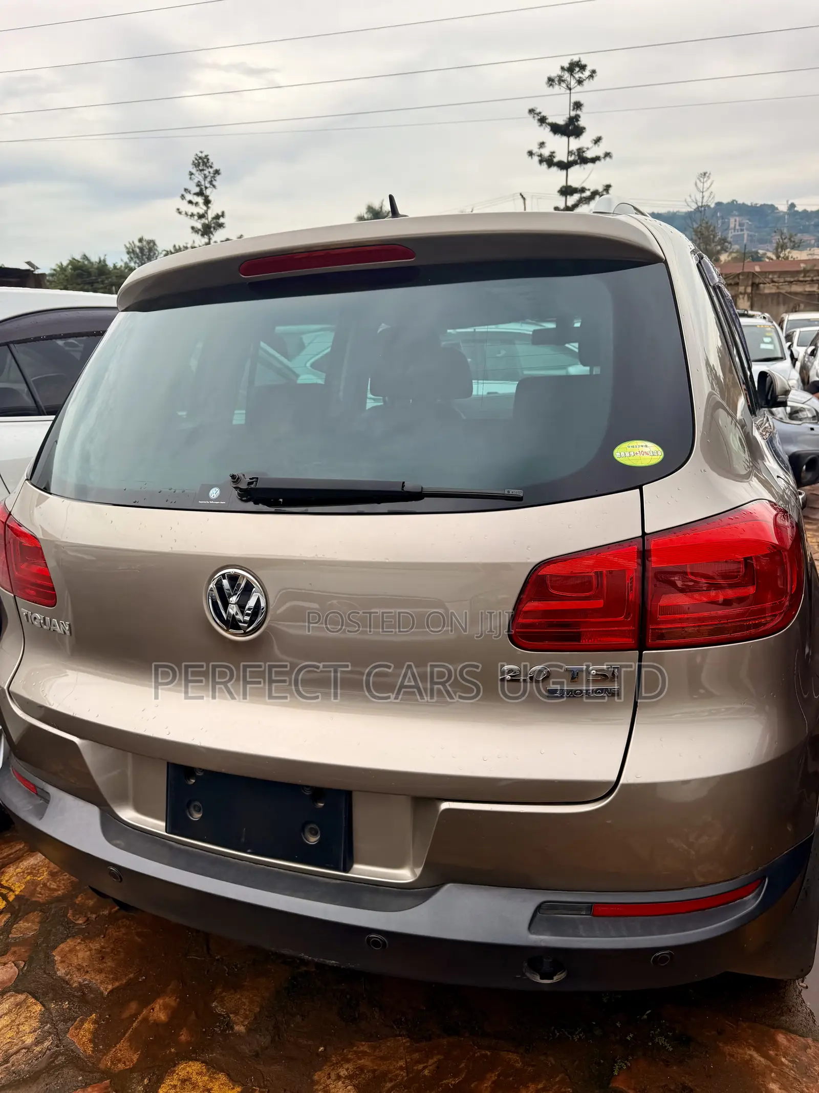 Volkswagen Tiguan 2014 Brown