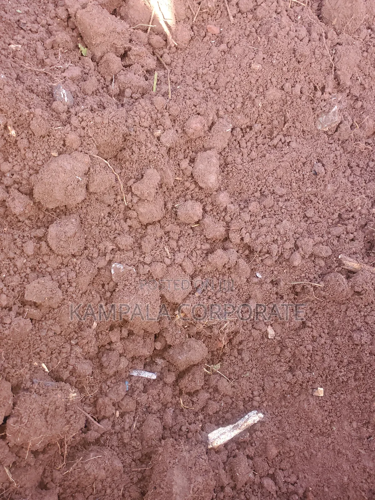 Black Soils for Sale
