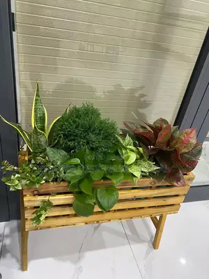 Wooden Storage Box Also Can Be Used as a Plant Stand