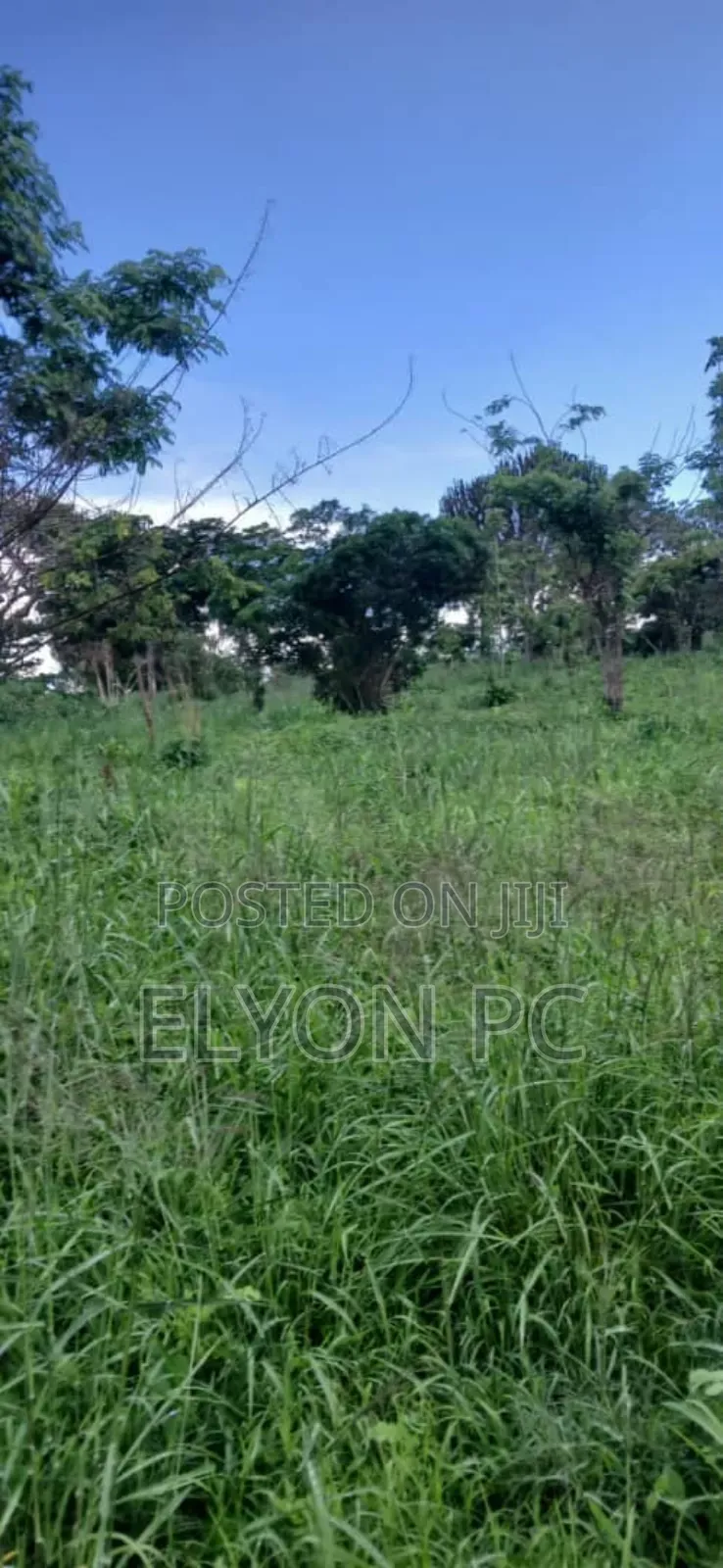 10 Acres at Kakiri Wakiso Each at 60m.