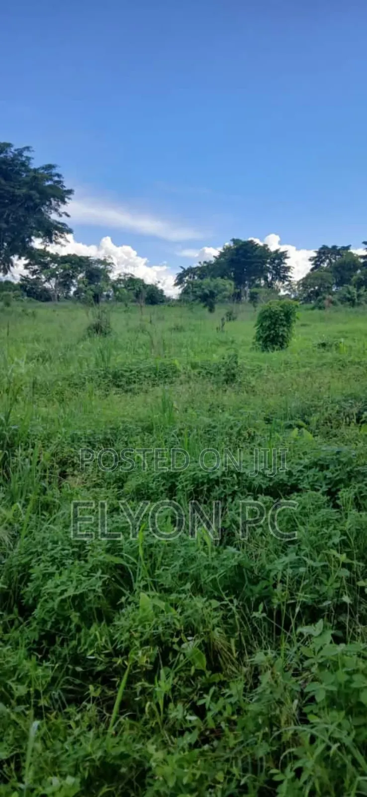 10 Acres at Kakiri Wakiso Each at 60m.