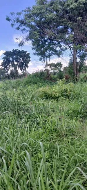 10 Acres at Kakiri Wakiso Each at 60m.