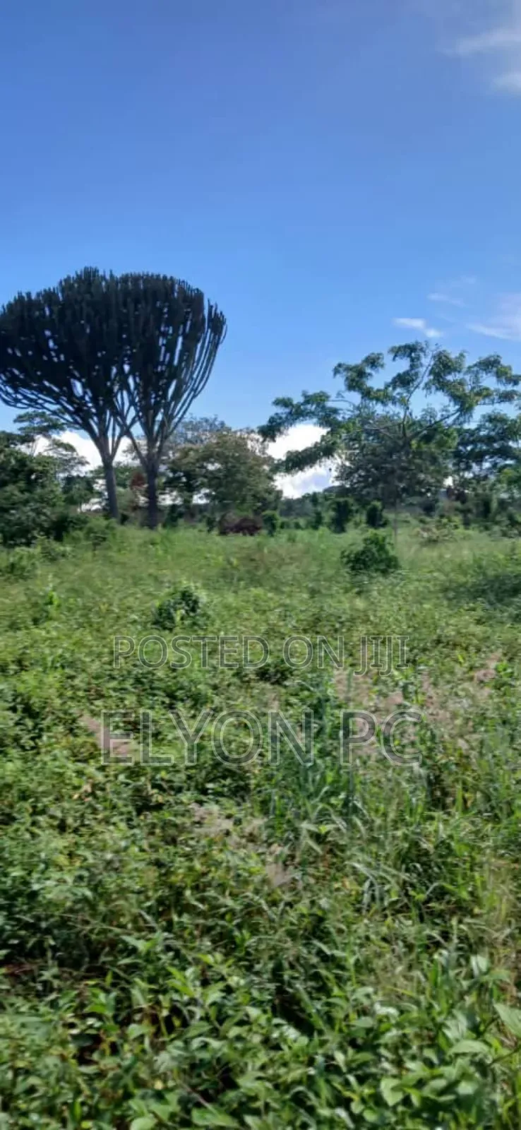 10 Acres at Kakiri Wakiso Each at 60m.