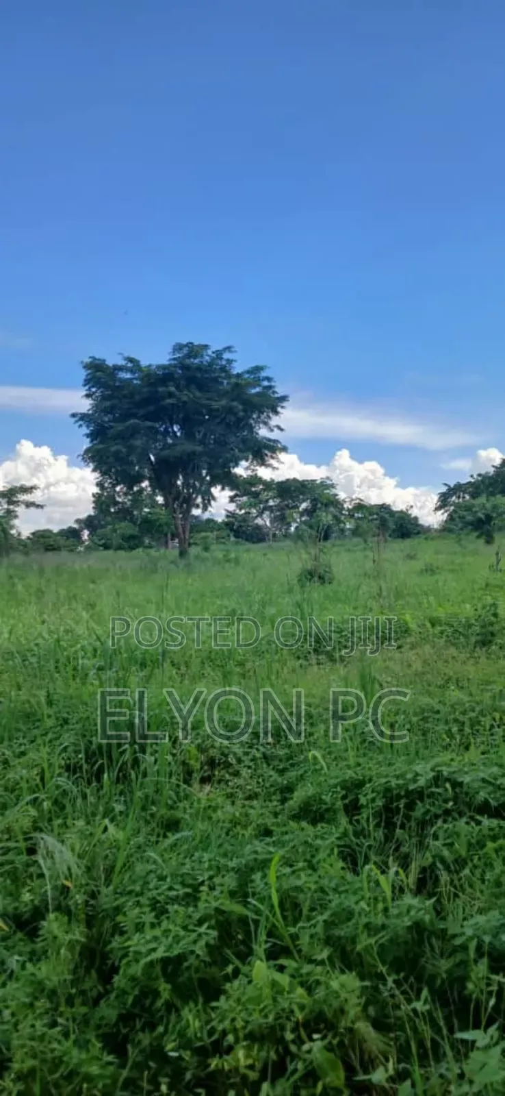 10 Acres at Kakiri Wakiso Each at 60m.