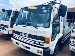 Isuzu Double Light Truck