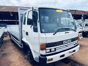 Isuzu Double Light Truck