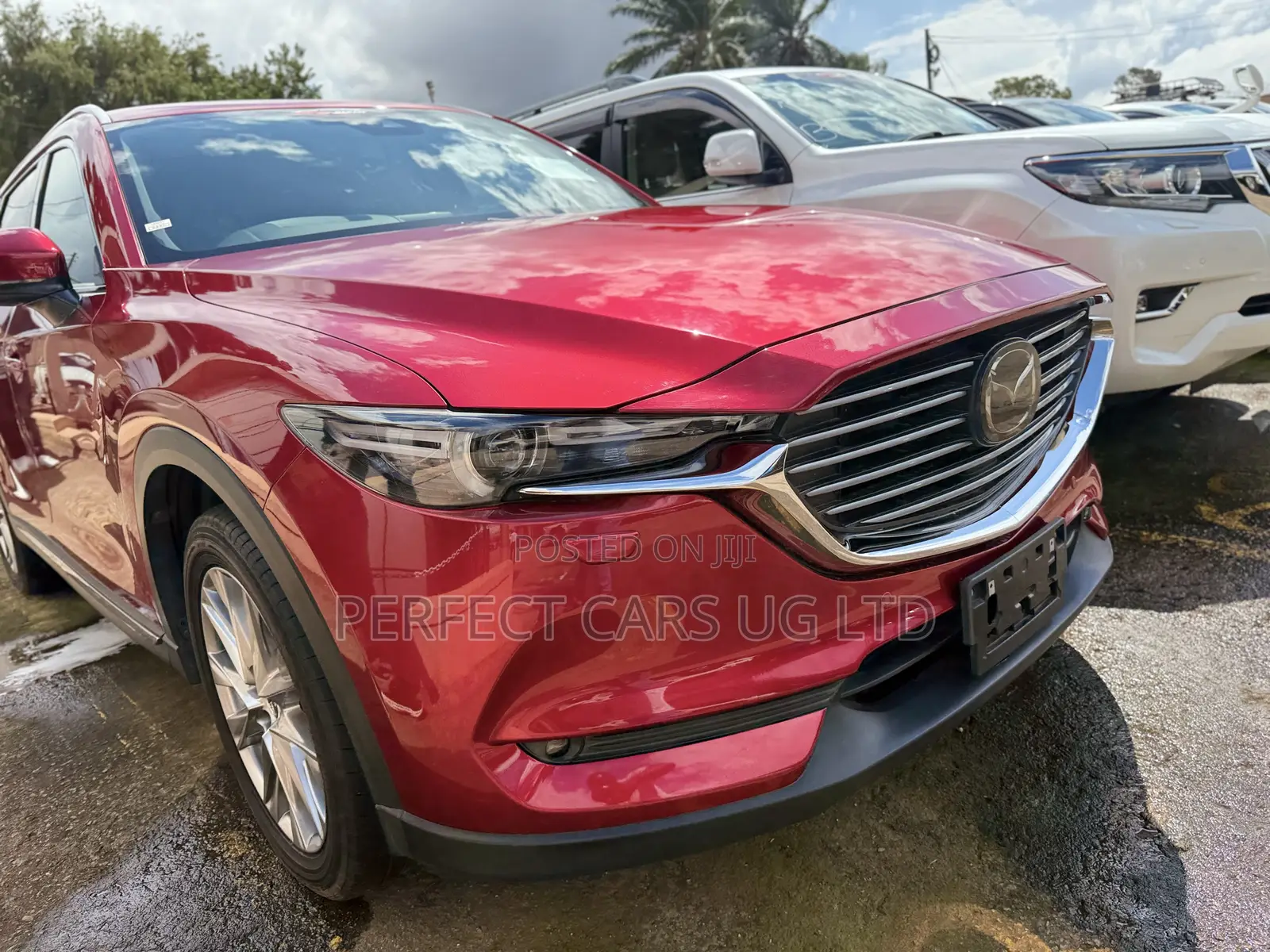 Mazda CX-8 2.2 AWD (7 seater) 2019 Red